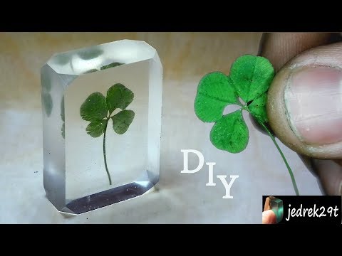 DIY. Four-leaf clover in resin.
