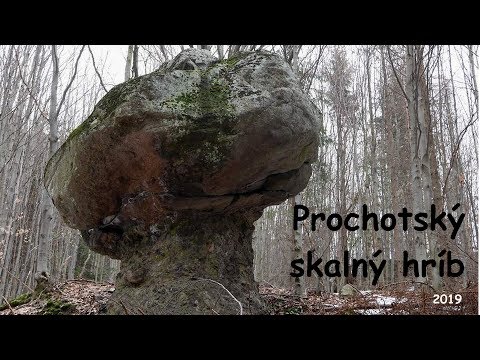 Bludárium - Vtáčnik (Prochotský skalný hríb)