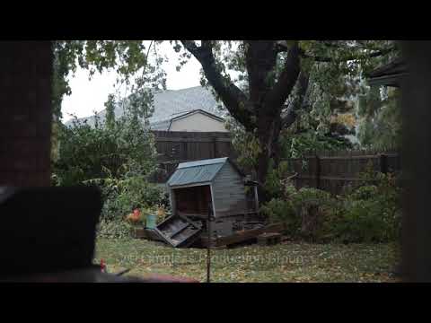 Tree Branches Breaking From Historic Oklahoma Ice Storm | October 26, 2020 #limitlessproduction