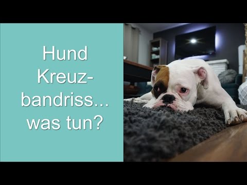 Wärmecreme für Gelenke Injektionen in die Gelenkarthrose