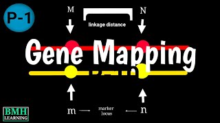 Genome Mapping | Genetic Mapping & Physical Mapping | Types Of Gene Mapping |