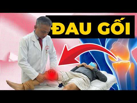 Đau Gối Do Chạy Bộ: Sai Lầm Khiến Khớp Hỏng Nhanh Hơn Bạn Nghĩ