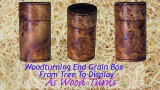 Woodturning End Grain Box - From Tree To Display