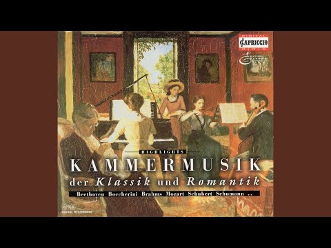 String Quintet in E Major, Op. 11, No. 5, G. 275: III. Minuetto