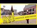HEA! Grootste kerstboom van Fryslân