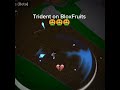 BloxFruits Trident VS King Legacy Trident #bloxfruits #roblox #games #kinglegacy
