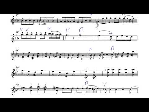 WYO Magic Flute 2nd violin measures16to96 tempo110