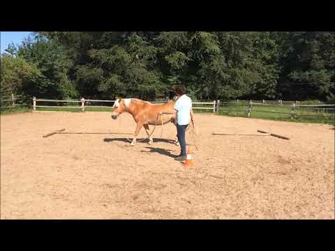 Gesunde Stangenarbeit mit Regina Johannsen (TEW)