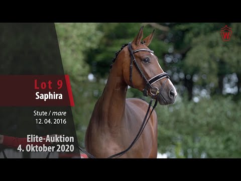 Elite Auction 4 October 2020 Lot 9 Saphira Mare by Sunday - Casparino