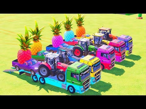 LOAD AND TRANSPORT GIANT STRAWBERRY  WITH JOHN DEERE VS VALTRA VS CLAAS TRACTORS - FS 22 #2