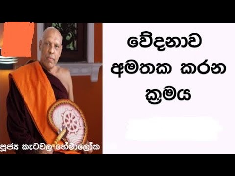 Ven. Ketawala Hemaloka Thero No.28 | වේදනාව අමතක කරන ක්‍රමය
