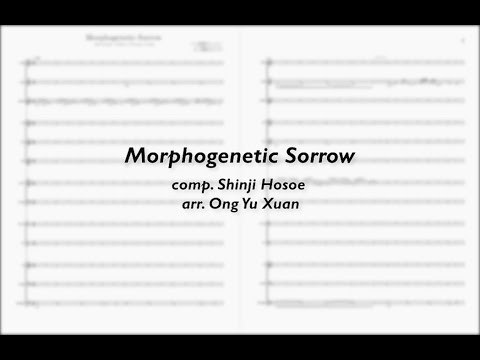 【谱 Score】Morphogenetic Sorrow (华乐版) - Zero Escape 9 Hours, 9 Doors, 9 Exits