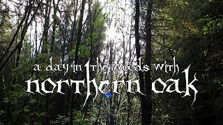 A Day In The Woods With Northern Oak