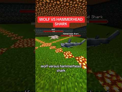 Ultimate Showdown: Wolf vs Shark