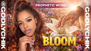 God said, 'It's Time For You to BLOOM!'