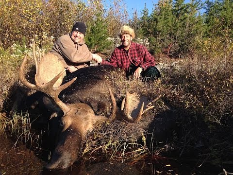 Amik Outposts Moose Hunt Video - YouTube