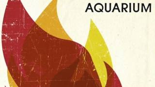 American Aquarium - Burn.Flicker.Die (Studio Version)