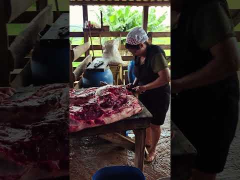 Mutirão familiar aos pés da Serra da Canastra