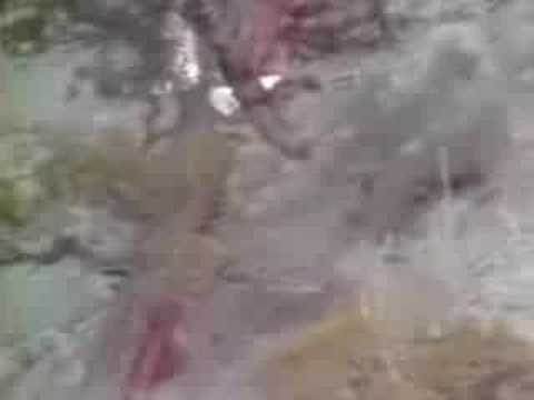 BOB BENNETT   "The Eagle Has Landed"