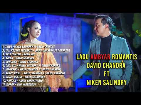 THE BEST NIKEN SALINDRY FT DAVID CHANDRA | Playlist LAGU AMBYAR 2