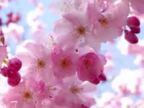 download lagu mp3 mp4 Popcorn Popping Lyrics, download lagu Popcorn Popping Lyrics gratis, unduh video klip Popcorn Popping Lyrics