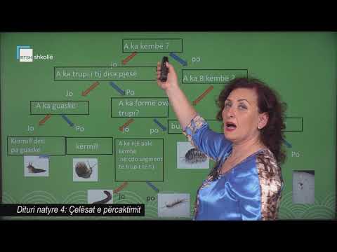 Dituri natyre 4 - Çelësat e përcaktimit