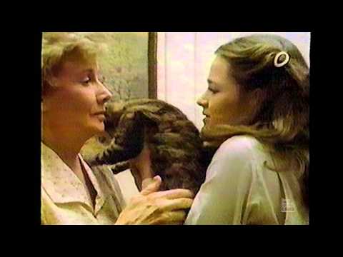 Retro Commercials Vol 104 (1983 - 1080p HD)