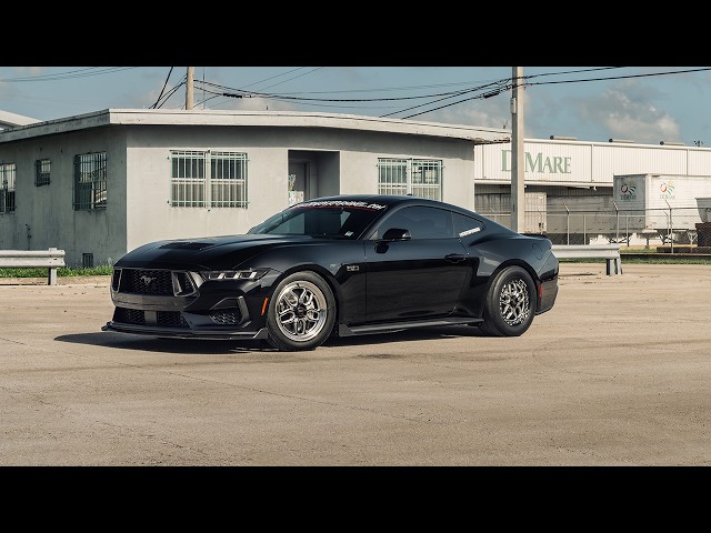 جنوط ويلد لاجونا بيدلوك