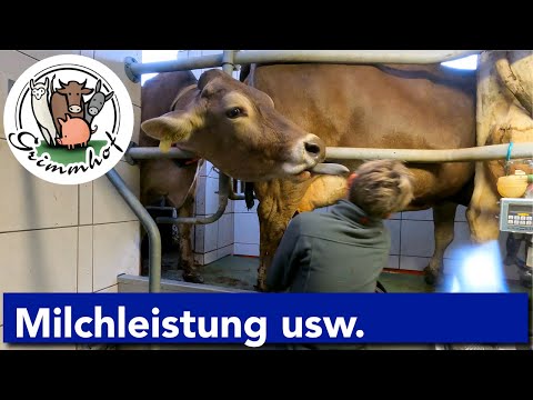 FarmVLOG#110 - Wieviel Milch gibt die Kuh🤔