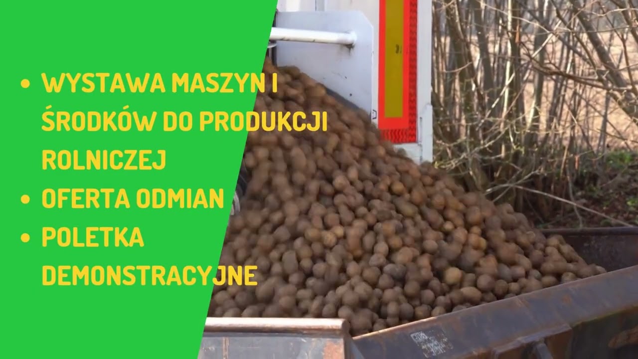 Kościerzyński Dzień Ziemniaka | OGŁOSZENIE
