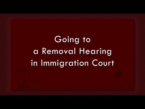 入国管理裁判所での除去審問に行く (Going to a Removal Hearing in Immigration Court)