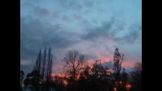 Forgiveness by Alice Peacock