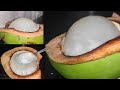 How to make Coconut Jelly || Tender coconut recipe || vanivasuvlogsintelugu