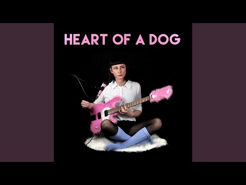 Heart of a Dog