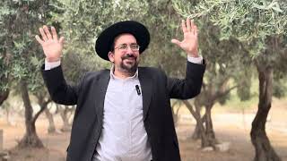 לאן השלטים צריכים להביא? | הרב אליהו ובר (ישיבת הר הבית) - התמונה מוצגת ישירות מתוך אתר האינטרנט יוטיוב. זכויות היוצרים בתמונה שייכות ליוצרה. קישור קרדיט למקור התוכן נמצא בתוך דף הסרטון לאן השלטים צריכים להביא? | הרב אליהו ובר (ישיבת הר הבית) - התמונה מוצגת ישירות מתוך אתר האינטרנט יוטיוב. זכויות היוצרים בתמונה שייכות ליוצרה. קישור קרדיט למקור התוכן נמצא בתוך דף הסרטון