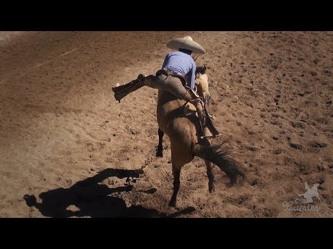 Spectacular horse riding - Alfredo Gutierrez