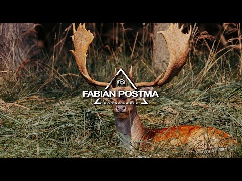 OP F1 DAG IN ZANDVOORT WANDELEN OP DE AMSTERDAMSE WATERLEIDINGDUINEN