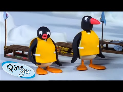 Pingu and Teamwork 🐧 | Pingu - Official Channel | Cartoons For Kids