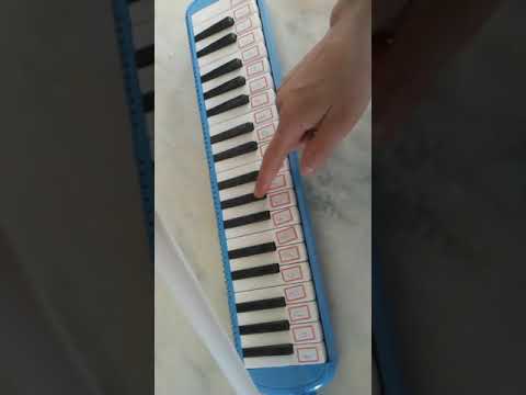 escaleta:primeira parte de no expresso viajamos.