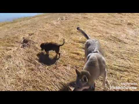 Nr. 117. Campingplatz, Stellplätze und Ferienhaus nahe Bryce Canyon N.P..