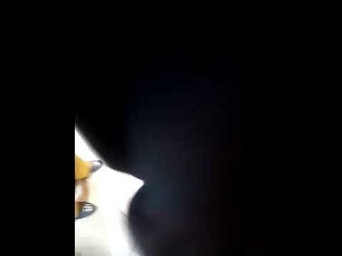 Armeen Have come to do Eid shopping || Armeen so cute ||