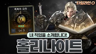 1티어 스킬 이펙트를 가진 직업, 홀리나이트에 대해 알아보자!