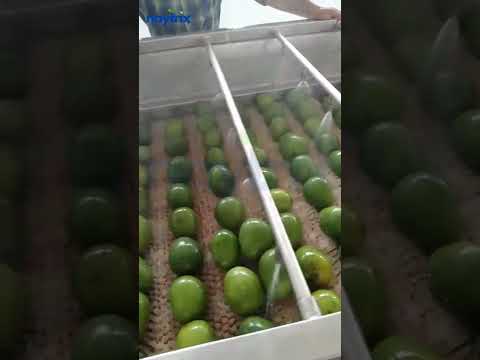 Vegetable Washers