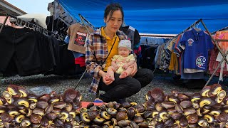 Young mother: Harvesting wild snails to sell. Buy duck breeds to raise | Mụi Muội - My life