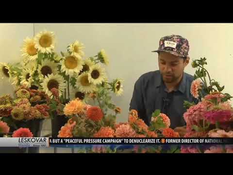 download lagu mp3 mp4 Flower Delivery Bozeman, download lagu Flower Delivery Bozeman gratis, unduh video klip Flower Delivery Bozeman