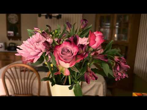 Finding Joy In Every Day ~ 1/3/26