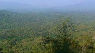 Parambikulam Wildlife Sanctuary