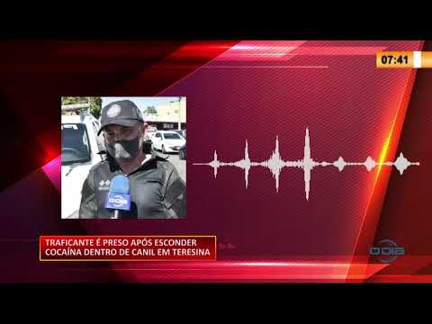 Traficante homicida esconde dinheiro e cocaiÌna em canil de Teresina e acaba preso 16 09 2020
