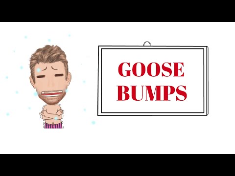 English Tutor Nick P Word Origins (261) Goose Bumps - Origin  ( Animated)