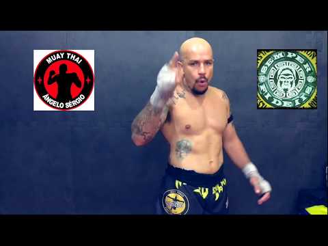 CONSTANT EVOLUTION TEAM/ DOJO FIGHT STRIKE